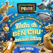 bnn5